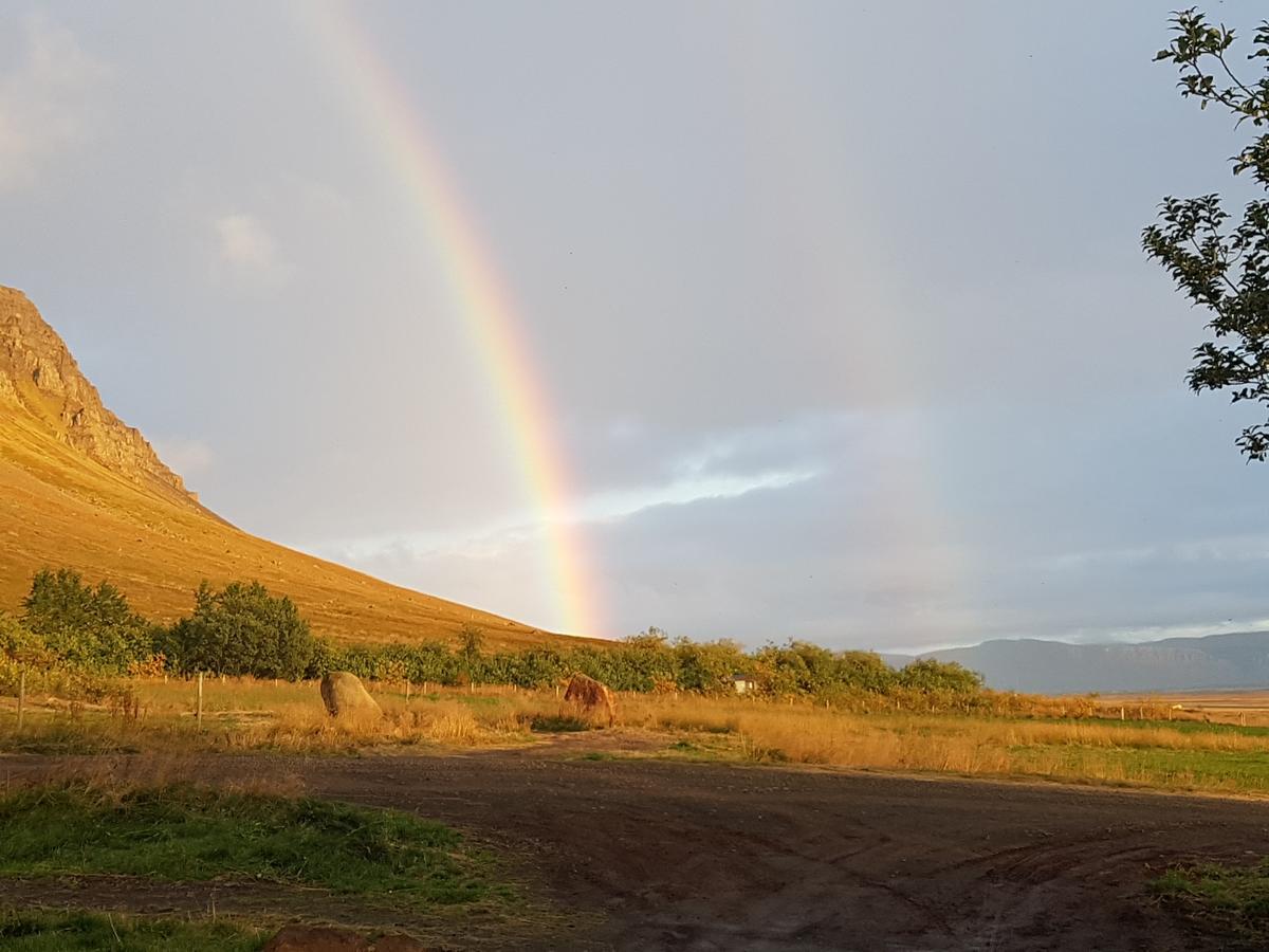 Mithjanes Reykholahrepp Pension Reykholar Buitenkant foto