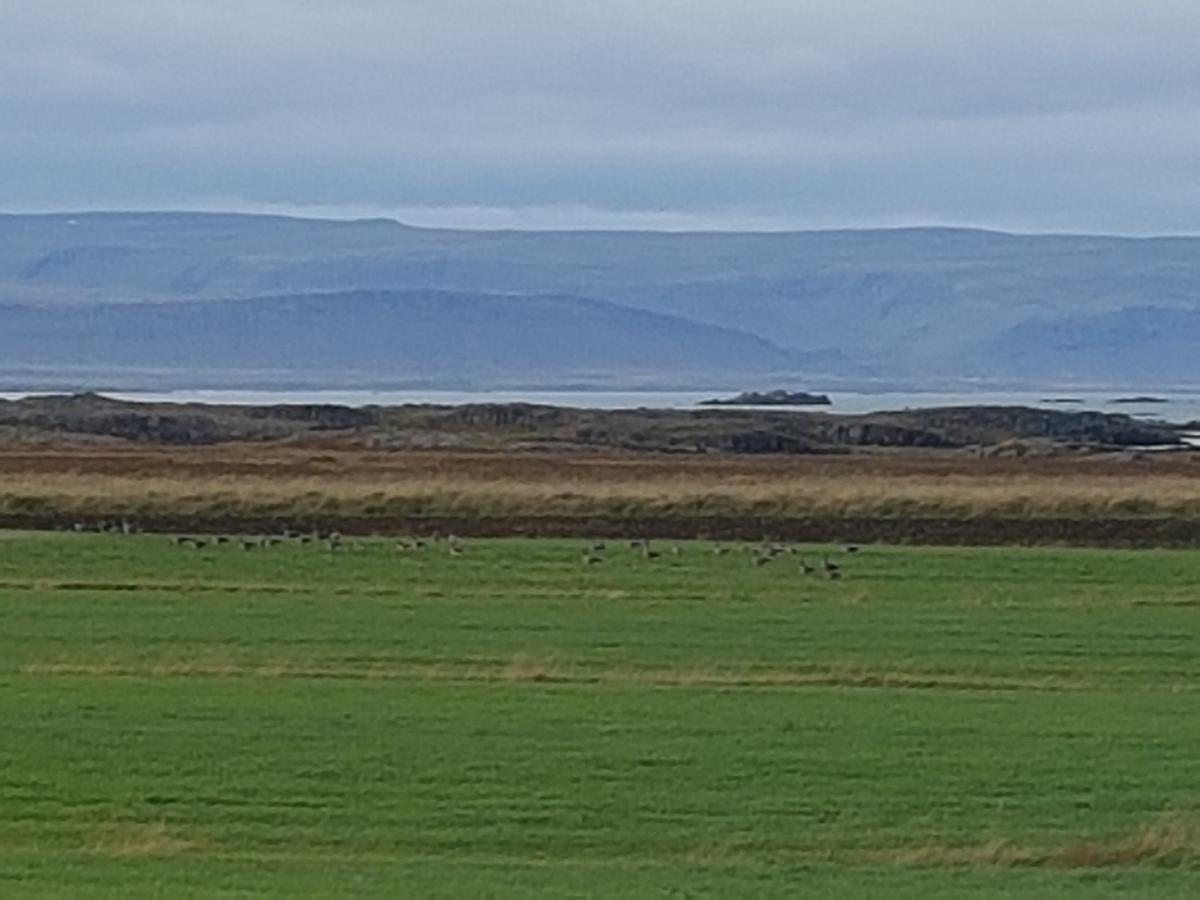 Mithjanes Reykholahrepp Pension Reykholar Buitenkant foto