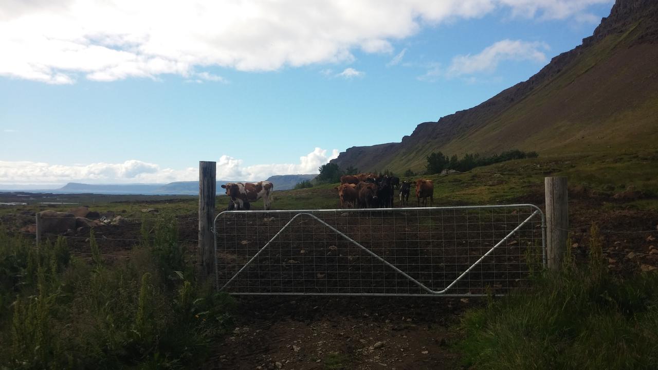 Mithjanes Reykholahrepp Pension Reykholar Buitenkant foto